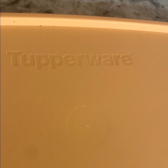 Orange Divided Lunch Box - Picture 3 of 5